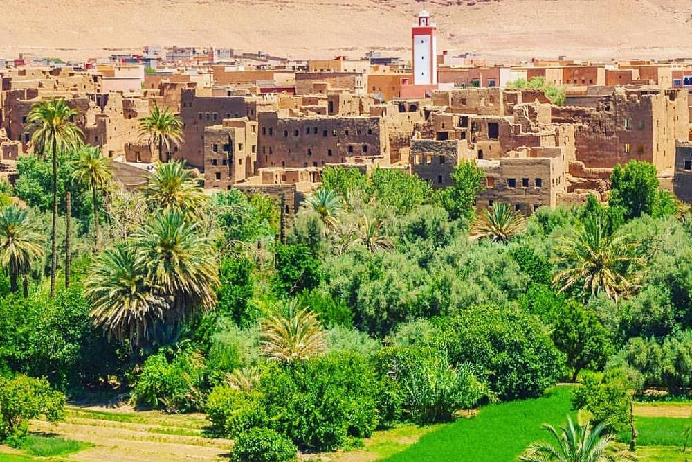 🌴Tinghir: An Oasis of Beauty Between Mountains and Desert